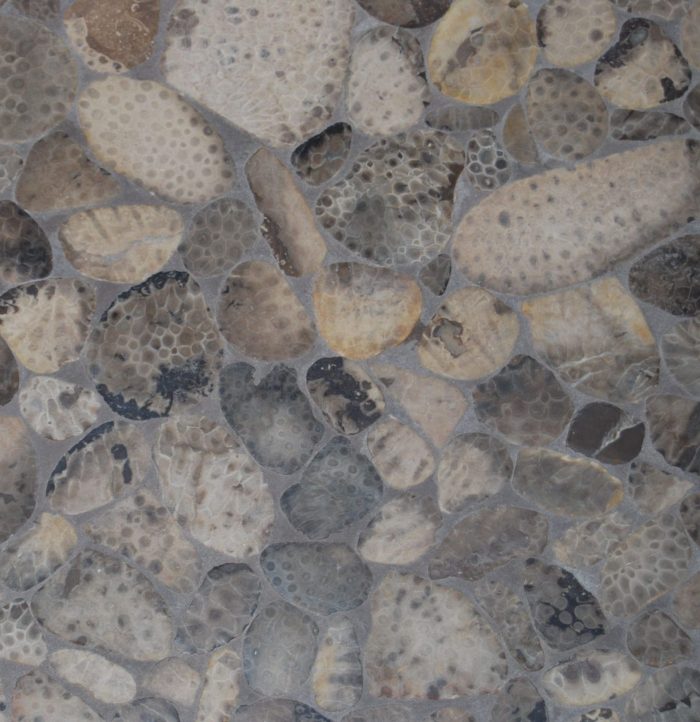 Petoskey Stone Tile