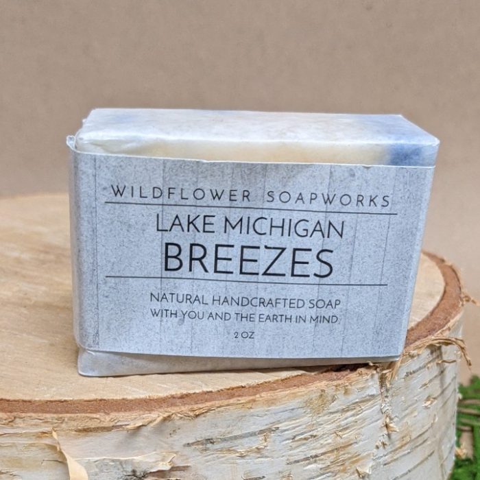 Lake Michigan Mini Soap