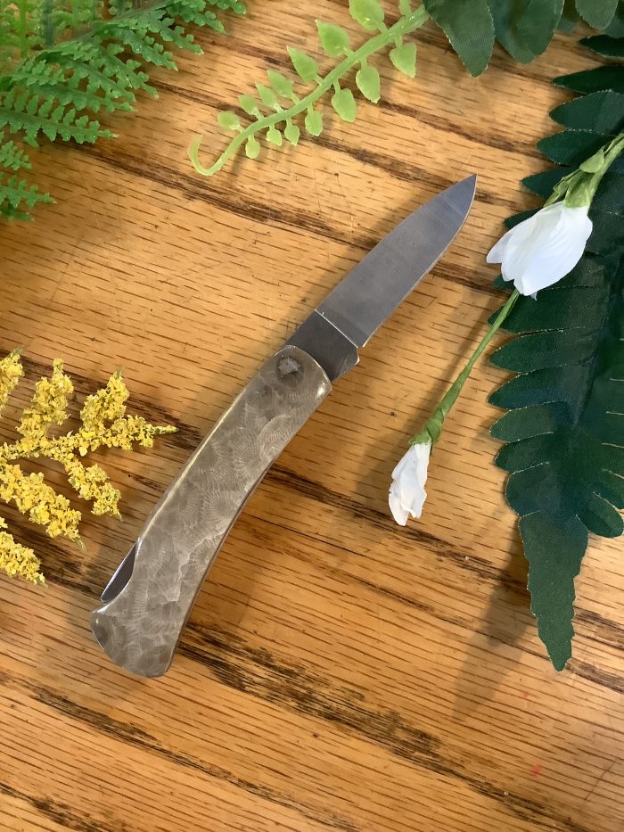 double sided Petoskey Stone handled knife