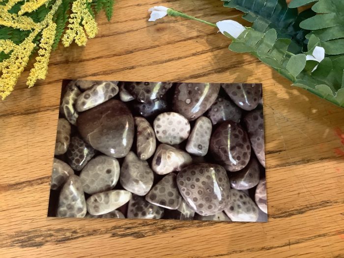 Petoskey Stone Post Card