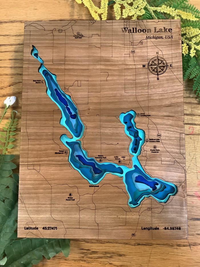 Walloon Lake Wood Depth Map